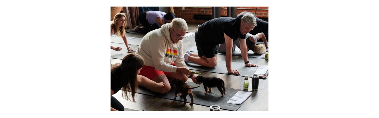 Namaste With Puppies and LG CordZero™