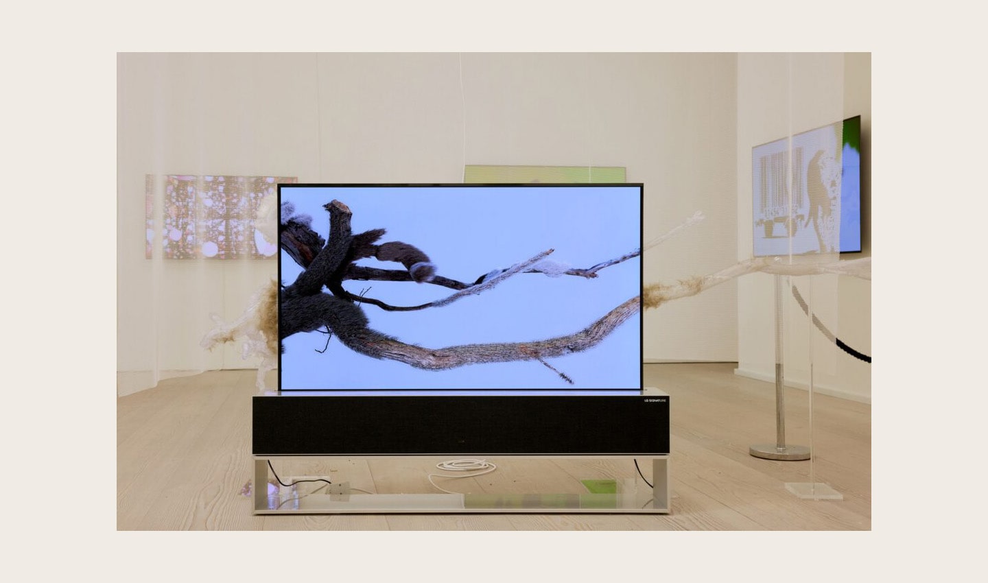 'The Warm Tree' by Ruofan Chen displayed on LG OLED TV