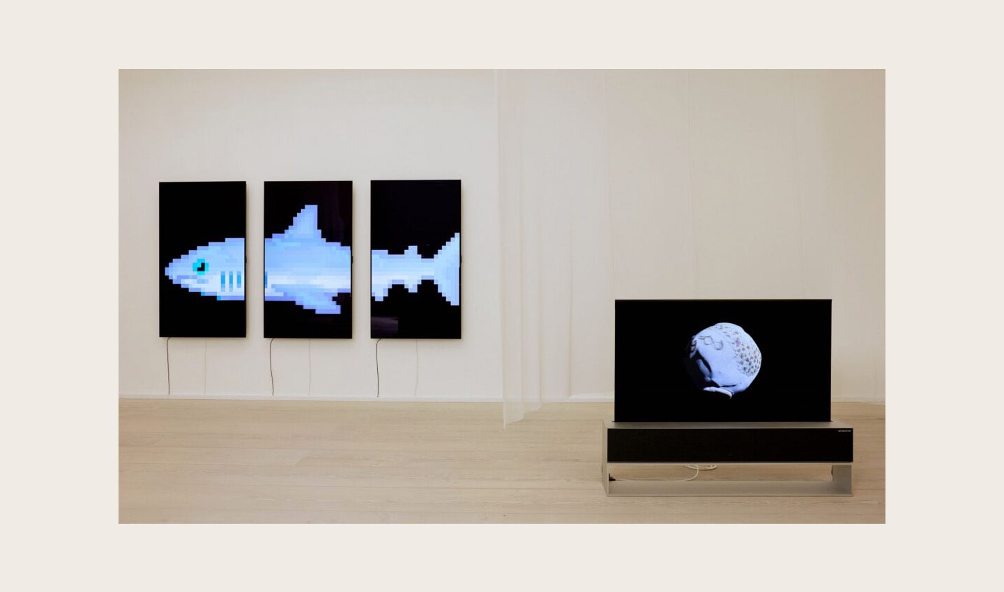 From left, ‘THE S/H/A/R/K’ by Damien Hirst and ‘The Moment & Morpho Luna’ by Je Baak displayed side by side