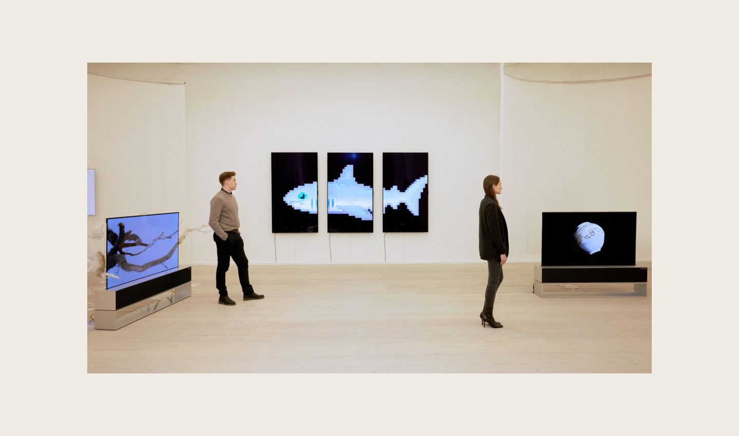 Form left, ‘The Warm Tree’ by Ruofan Chen, ‘THE S/H/A/R/K’ by Damien Hirst and ‘The Moment & Morpho Luna’ by Je Baak displayed on LG OLED TVs at Saatchi Gallery