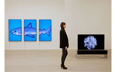 Blurring the Line Between Real and Digital With OLED TV and Art