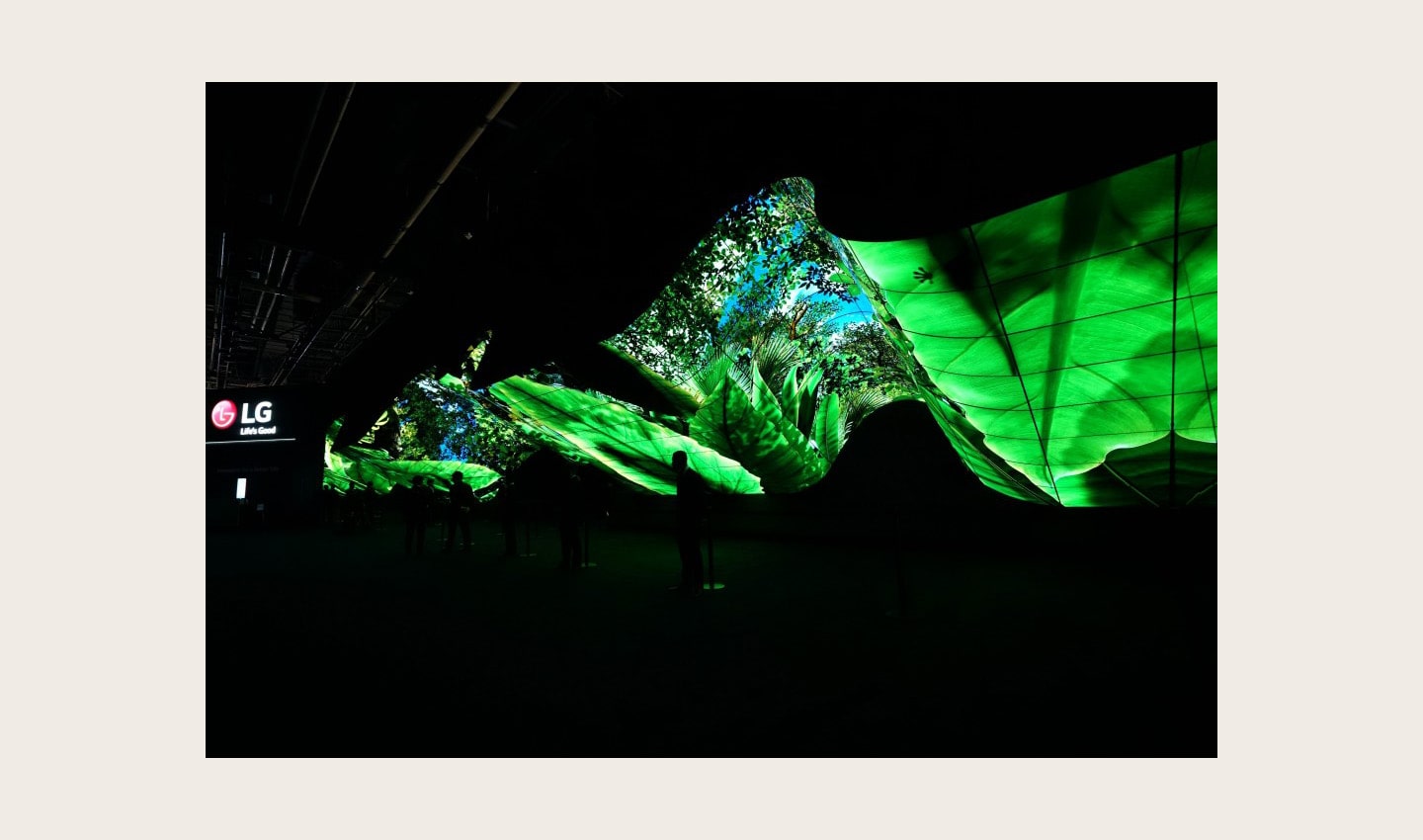 A wide-angle shot of LG Wave in the dark displaying the vibrant greens and blues of a rainforest at CES 2020