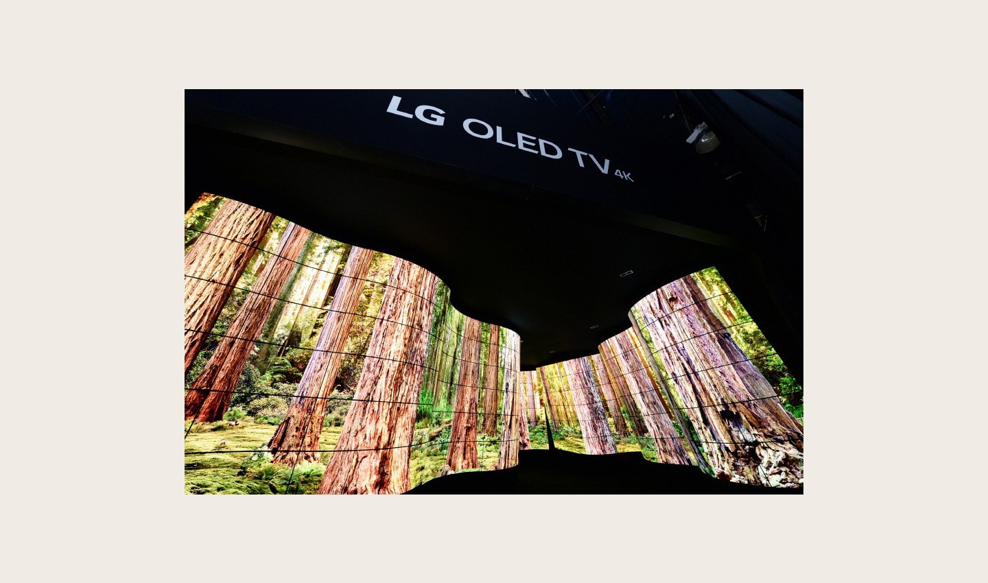Entrance view of the LG OLED Canyon, with footage of giant redwood trees displayed across the OLED panels