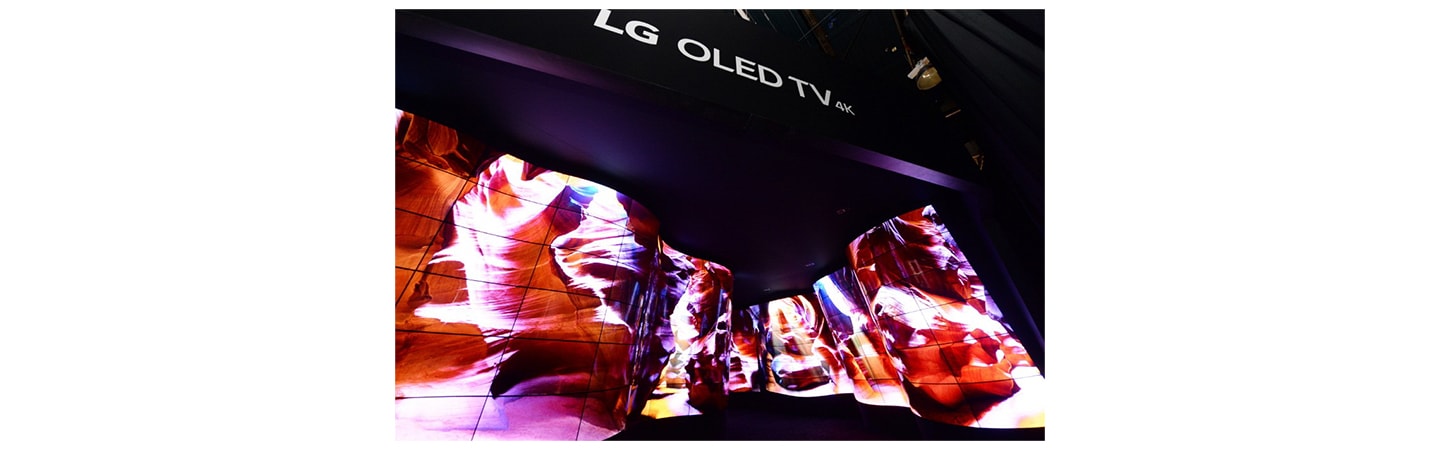 LG OLED CANYON WOWS CES ATTENDEES