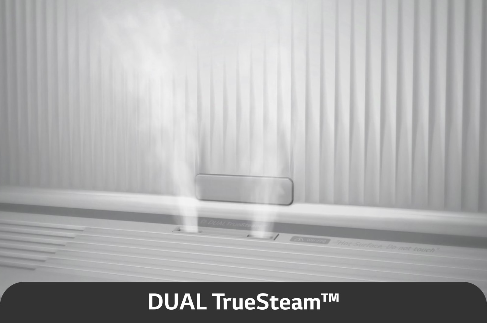 Dual TureSteam