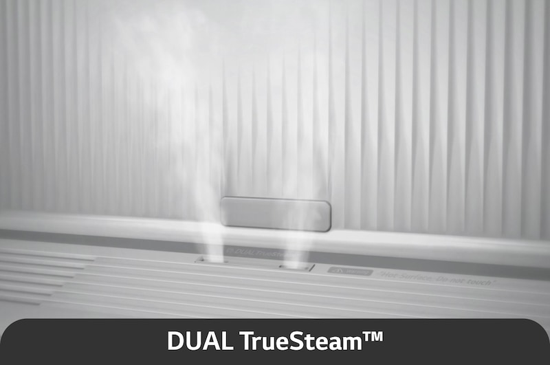 Dual TureSteam