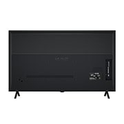 LG OLED B4 TV 的後面視圖