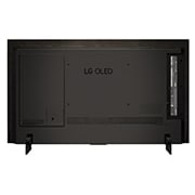 LG OLED evo C4 4K 智能電視的後面視圖