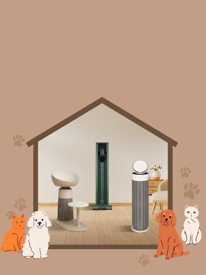 Pet Collection Offer