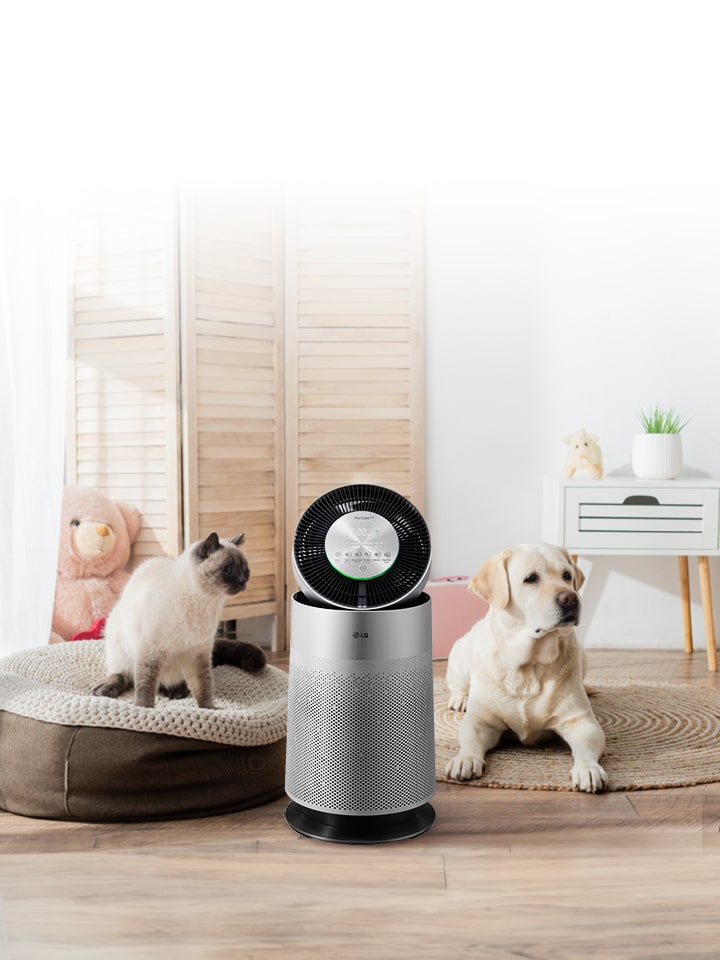 360º Air Purifier (Pet Version)