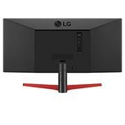 LG 29" 21:9 UltraWide™ Full HD HDR Monitor, 29WP60G-B