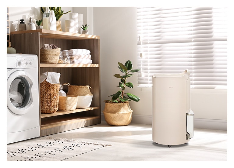 It shows calming beige color LG Puricare™ Dehumidifier Objet Collection is placed in a laundryroom.