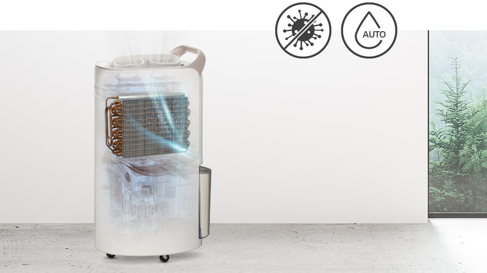 It shows the auto-drying system inside the dehumidifier dries the moisture and prevents bacteria.