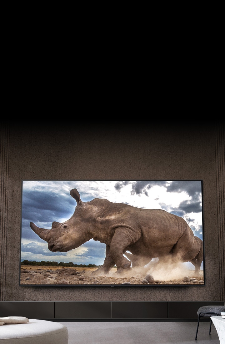 大尺寸 LG 電視上展示獵遊環境中的犀牛，電視安裝在客廳的棕色牆壁上，周圍環繞著奶油色的組件化家具。
