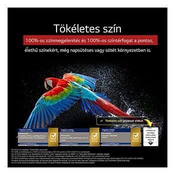 Káprázatos és élénk színű tűzijáték látható a TV képernyőn. Ez a 100%-os színhűséget mutatja be, amely olyan pontos színeket mutat akárcsak a napfényben. A tanúsítvány logó látható; a Perfect Color technológia 99%-nál magasabb konzisztenciát nyújt akár 500 lux értékig. Mellette független tesztelést igazoló Intertek tanúsítványok helyezkednek el.