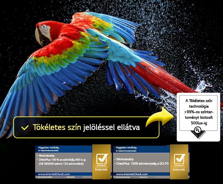 A kép Tökéletes Színt illusztrál: a papagáj testén minden árnyalat élénk és vibráló. Tanúsítványok láthatóak (UL és Intertek)