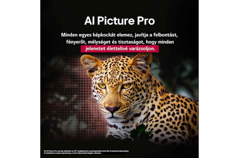 AI Picture Pro összefoglalva