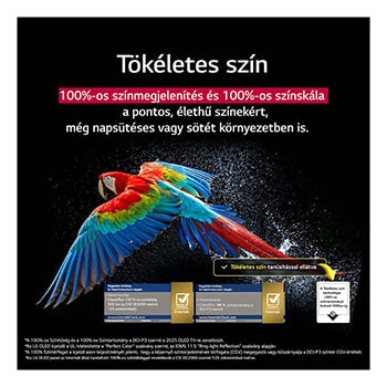 Tökéletes szín összefoglalva