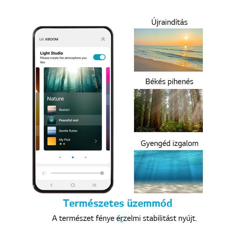 Mobiltelefon képe az APP képernyőjével természetes üzemmódban. Tengerparti látkép naplementével. Egy napfényes erdő képe. A képen fény ragyog a tiszta tenger mélyéről.