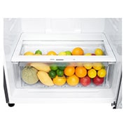 LG Felülfagyasztós hűtőszekrény, DoorCooling+™ és ThinQ™ technológia, 509L kapacitás, GTF744PZPED