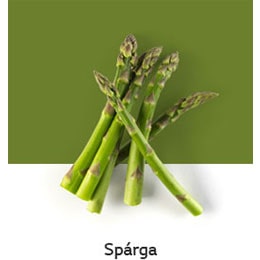 REF-NatureFRESH-Vplus-03-UsefulTips-04-8-Asparagus