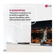 LG OLED evo C2 48" 4K Smart TV, OLED48C22LB