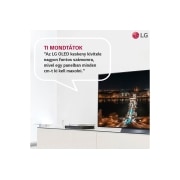 LG OLED evo 55" G2 4K TV HDR Smart (139 cm), OLED55G23LA