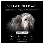 LG OLED evo C2 42" 4K Smart TV, OLED42C21LA