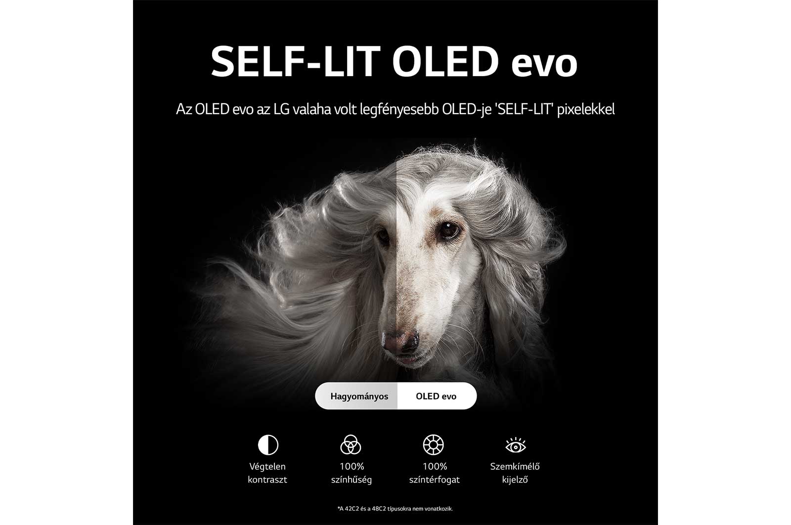 LG OLED evo C2 42" 4K Smart TV, OLED42C21LA