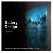 LG OLED evo 65" G2 4K TV HDR Smart (164 cm), OLED65G23LA