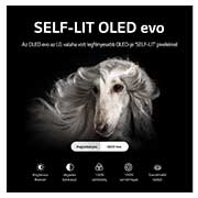 LG OLED evo 65" G2 4K TV HDR Smart (164 cm), OLED65G23LA