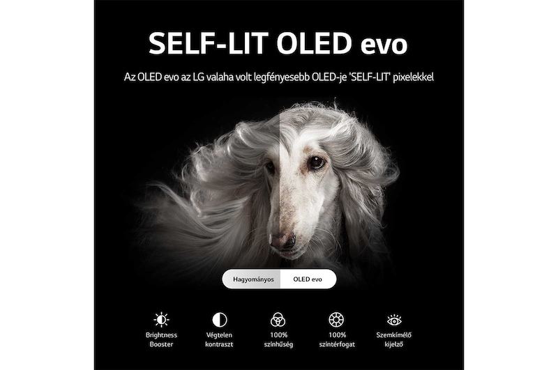 LG OLED evo 65" G2 4K TV HDR Smart (164 cm), OLED65G23LA