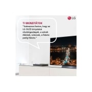 LG OLED 88" Z2 8K TV, OLED88Z29LA