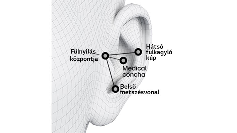 Egy fül ábrázolása. Egy fül ábrázolása három fekete-fehér ponttal a tájékozódási pontok bemutatására. Egy fül ábrázolása a fülhallgatóval a fül belsejében a virtuális illesztés bemutatására. Egy fül ábrázolása fekete pontokkal és vonalakkal az ergonómiai elemzés bemutatására.