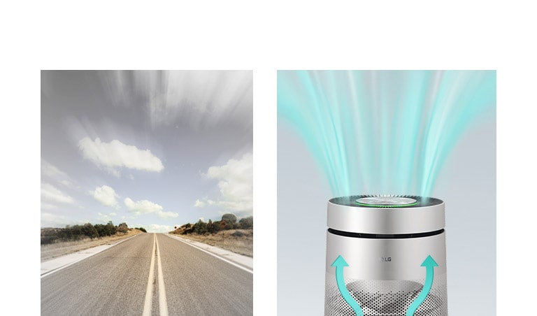 360 Degree Direct Fan