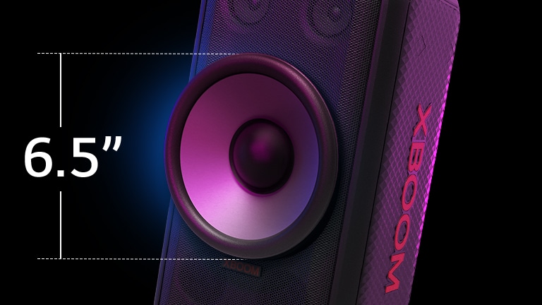 Tampak dekat woofer raksasa 6,5 inci. Di sebelah kiri, tertulis 6.5", di atas speaker, ditampilkan sound eq.