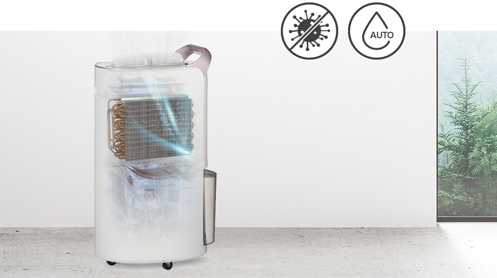 Menampilkan sistem pengeringan otomatis di dalam dehumidifier yang mengeringkan kelembapan dan mencegah bakteri.