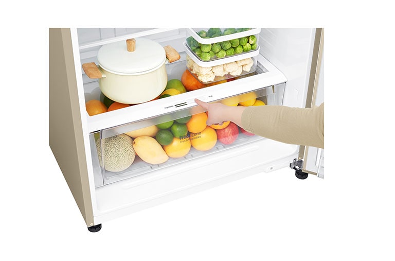 LG Kulkas 2 Pintu 516L gross/478L nett Inverter Linear Compressor dengan Door Cooling+™ dan Multi Air Flow - Gold, GN-C602HVCU