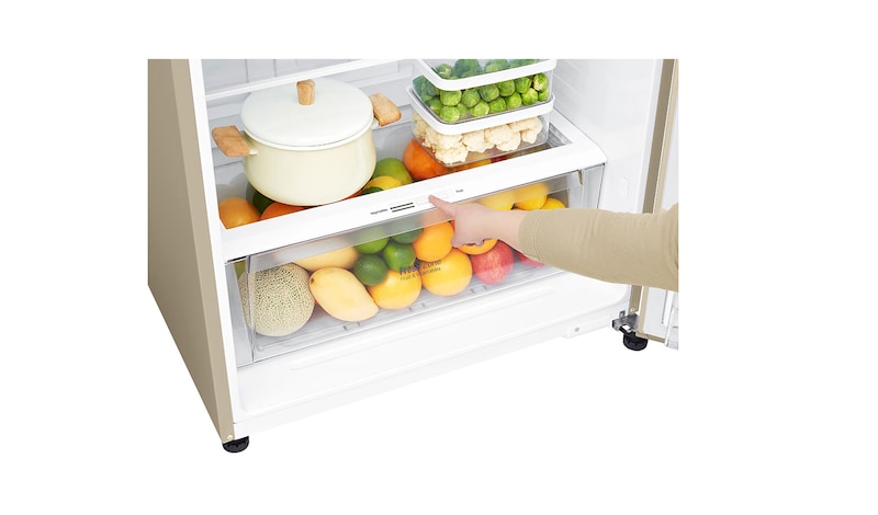 LG Kulkas 2 Pintu 516L gross/478L nett Inverter Linear Compressor dengan Door Cooling+™ dan Multi Air Flow - Gold, GN-C602HVCU