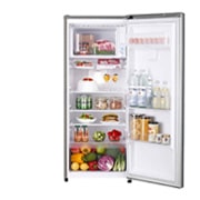 LG Kulkas 1 Pintu 199L dengan Kotak Sayur Besar dan Handel Pintu Ergonomis - Platinum, GN-INV331SL