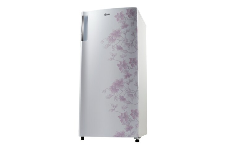 LG Kulkas 1 Pintu - Sus Flower Pattern, GN-Y201SP