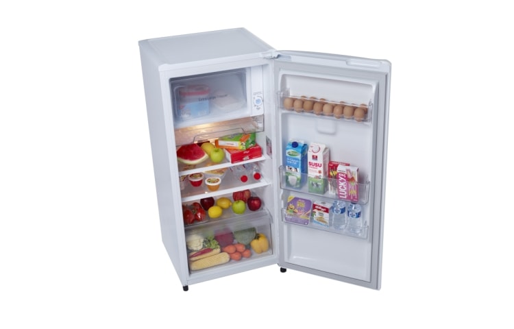 LG Kulkas 1 Pintu - Sus Flower Pattern, GN-Y201SP