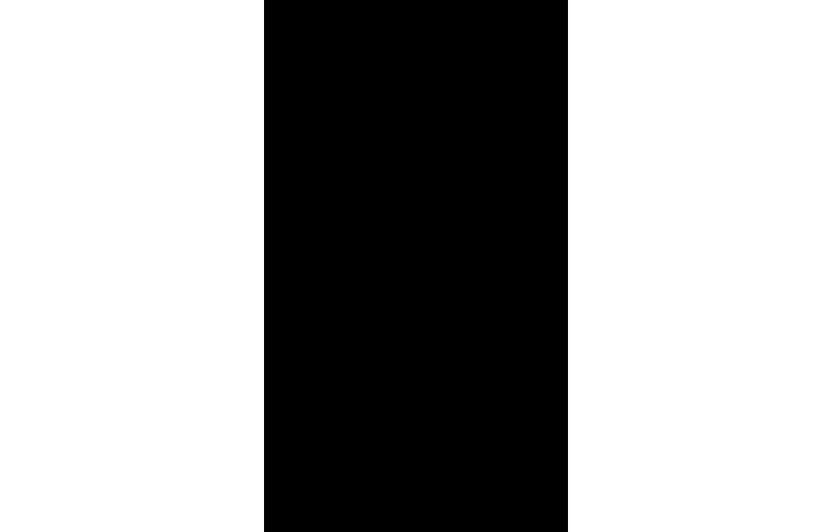 LG G Pro Lite, D686