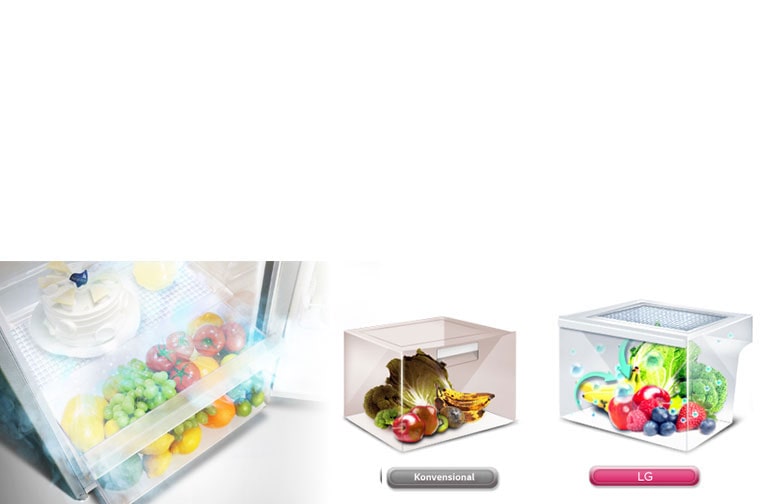 WSC0905WHN_6MotionMovie_20112018_D_V02