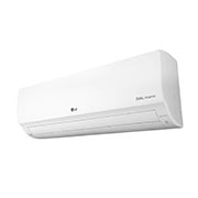 LG DUALCOOL with Watt Control-Eco 0.5PK, T06EV4