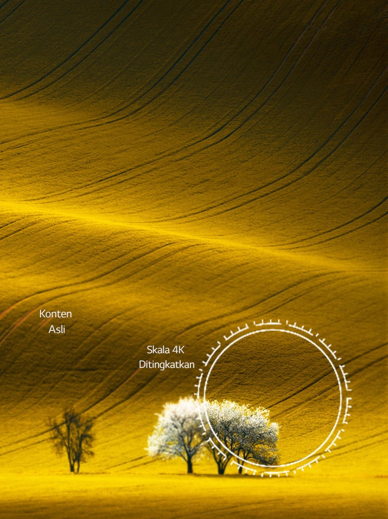 Pemandangan alam, yang membandingkan kualitas gambar konten non-4K dan konten 4K yang ditingkatkan skalanya.