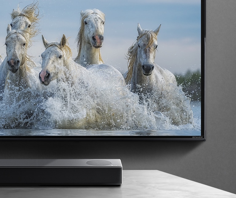 Setengah dari layar bagian bawah dan setengah dari soundbar. Sebuah TV menayangkan kuda putih yang sedang berlari di atas air.