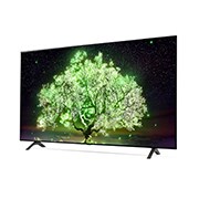 LG A1 65 inch 4K Smart OLED TV, OLED65A1PTA