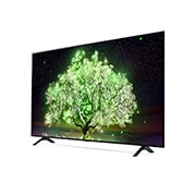 LG A1 65 inch 4K Smart OLED TV, OLED65A1PTA