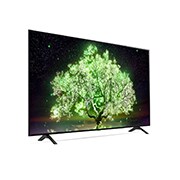 LG A1 65 inch 4K Smart OLED TV, OLED65A1PTA